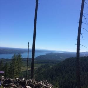 Meet your Posher, Kristi